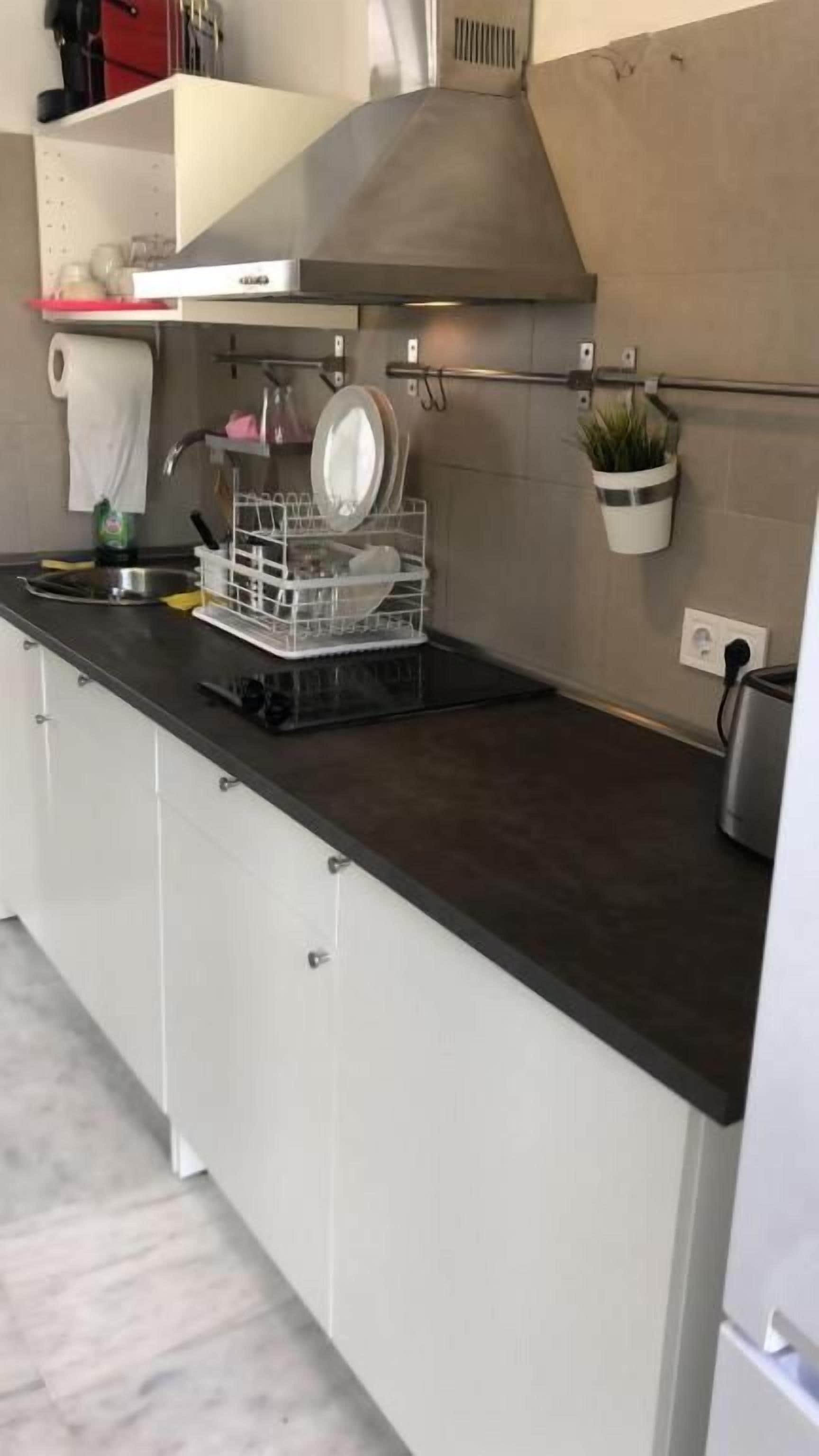 Una cocina con lavavajillas, un lavabo y una estufa. Hay una planta colgante y una repisa con utensilios de cocina.