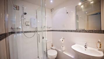 A modern bathroom with a glass-enclosed shower, a white toilet, a sink, and a mirror.