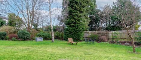 A backyard with a lawn, a wooden bench, a tree, and a fence.