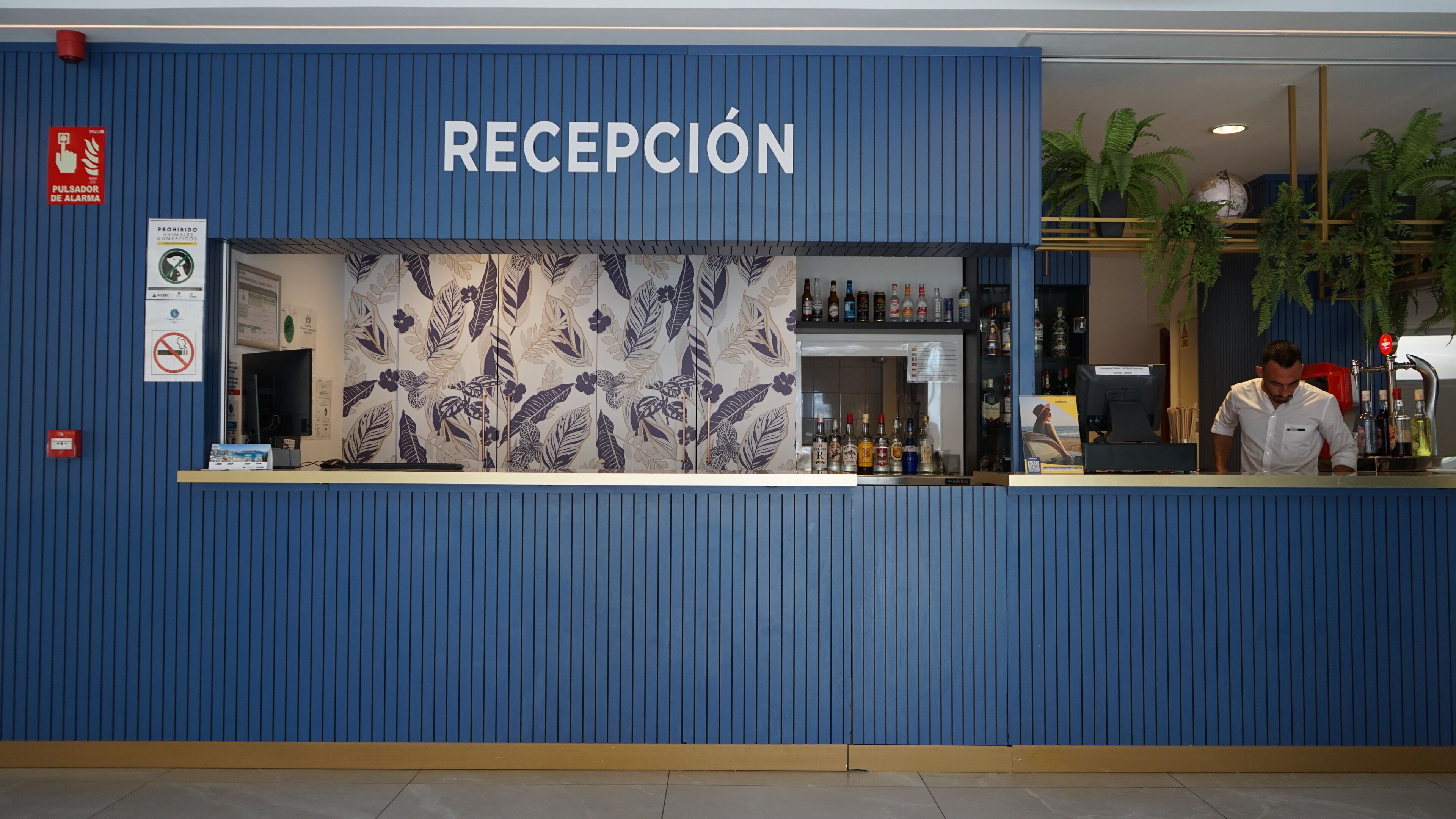 Een receptie met een blauwe wand, een bloemenpatroon en een balie met diverse spullen.