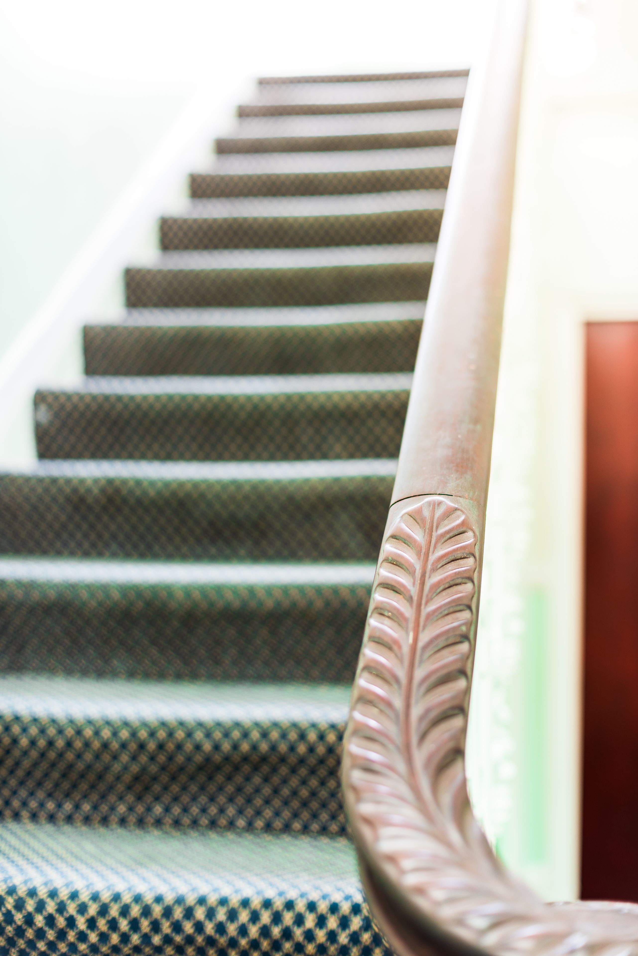 Foto - Dolphin Inn - The Lodge