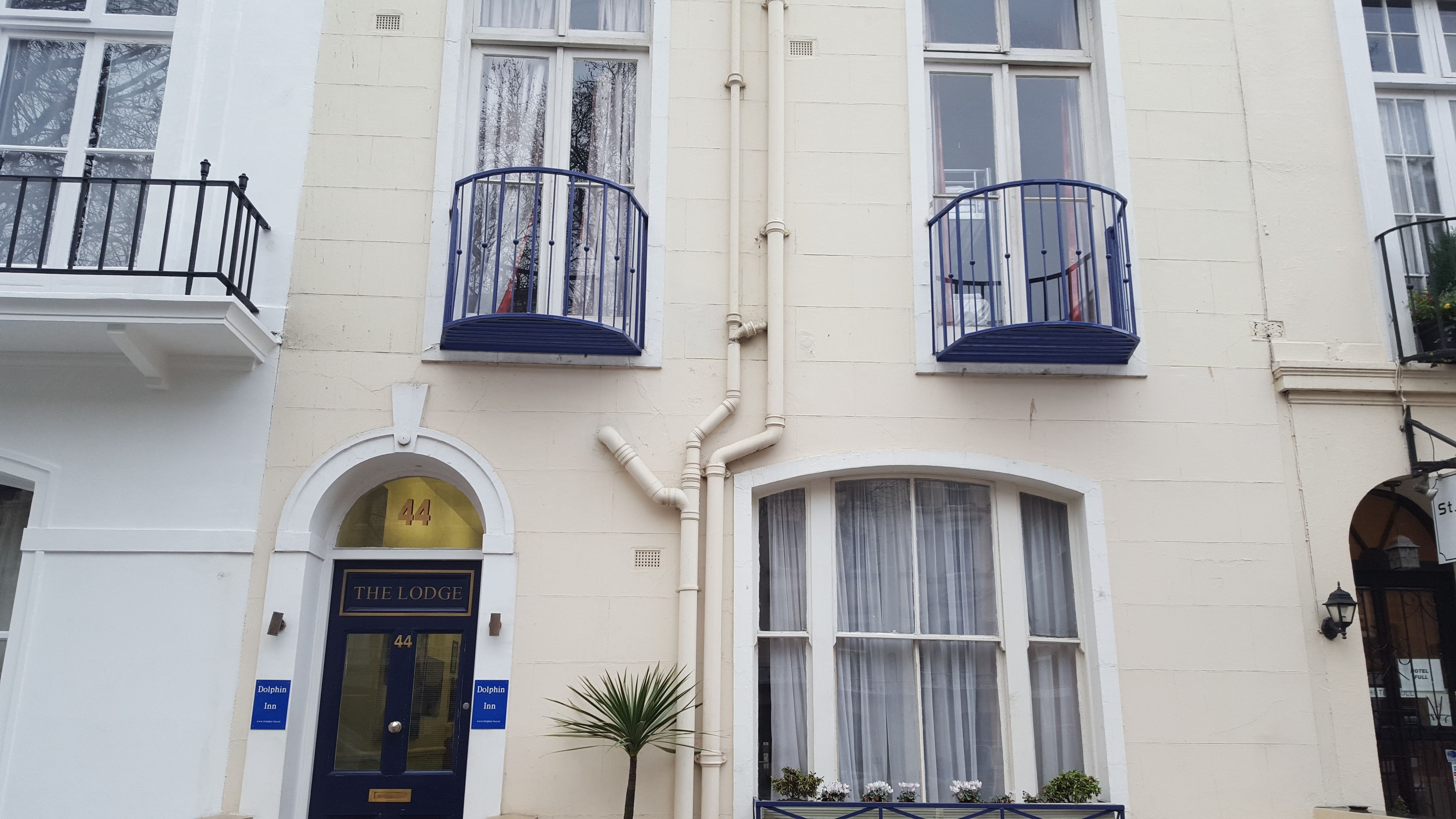 Foto - Dolphin Inn - The Lodge