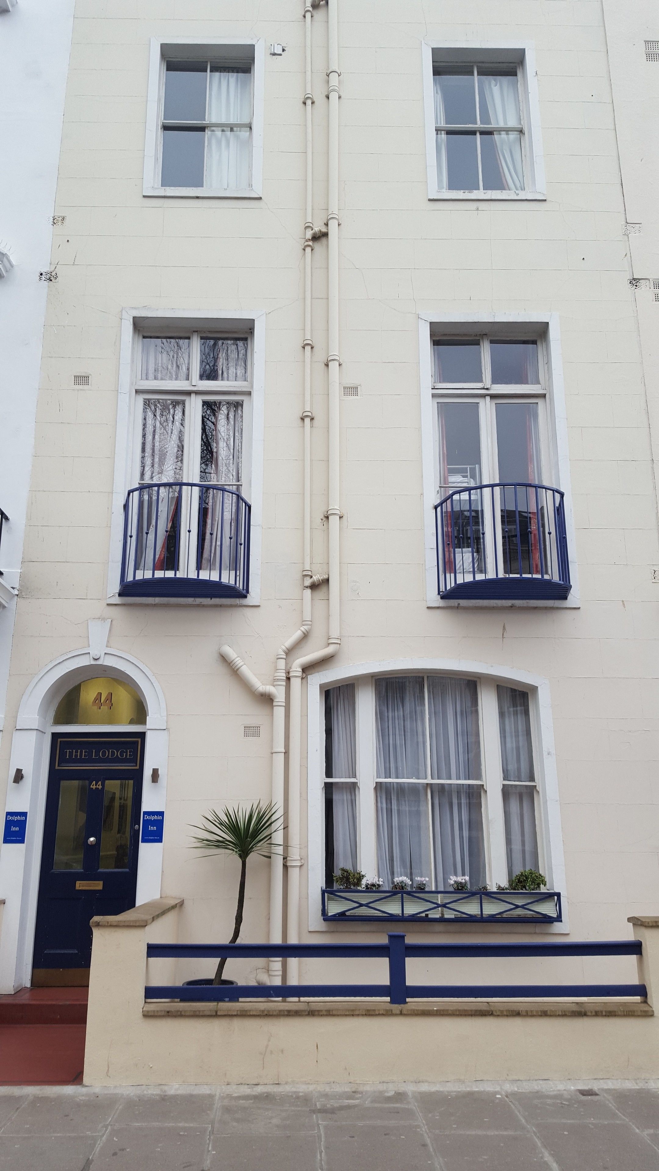 Foto - Dolphin Inn - The Lodge