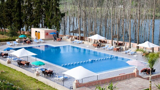 Piscina con sillones de descanso y sombrillas, rodeada de árboles y un pequeño edificio.