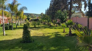 Un jardín bien cuidado con diversos árboles y arbustos, cielo despejado y una vista distante de colinas.
