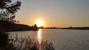 Un coucher de soleil sur un lac paisible, avec des arbres et des roseaux au premier plan.