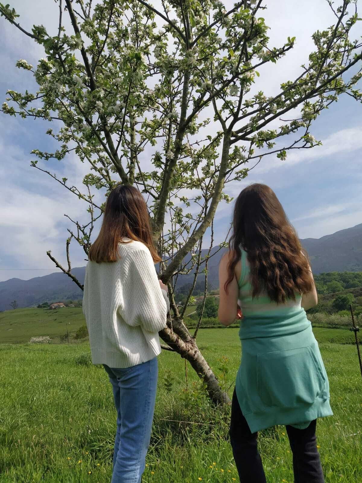 Two people standing in a grassy field with a tree in the background.