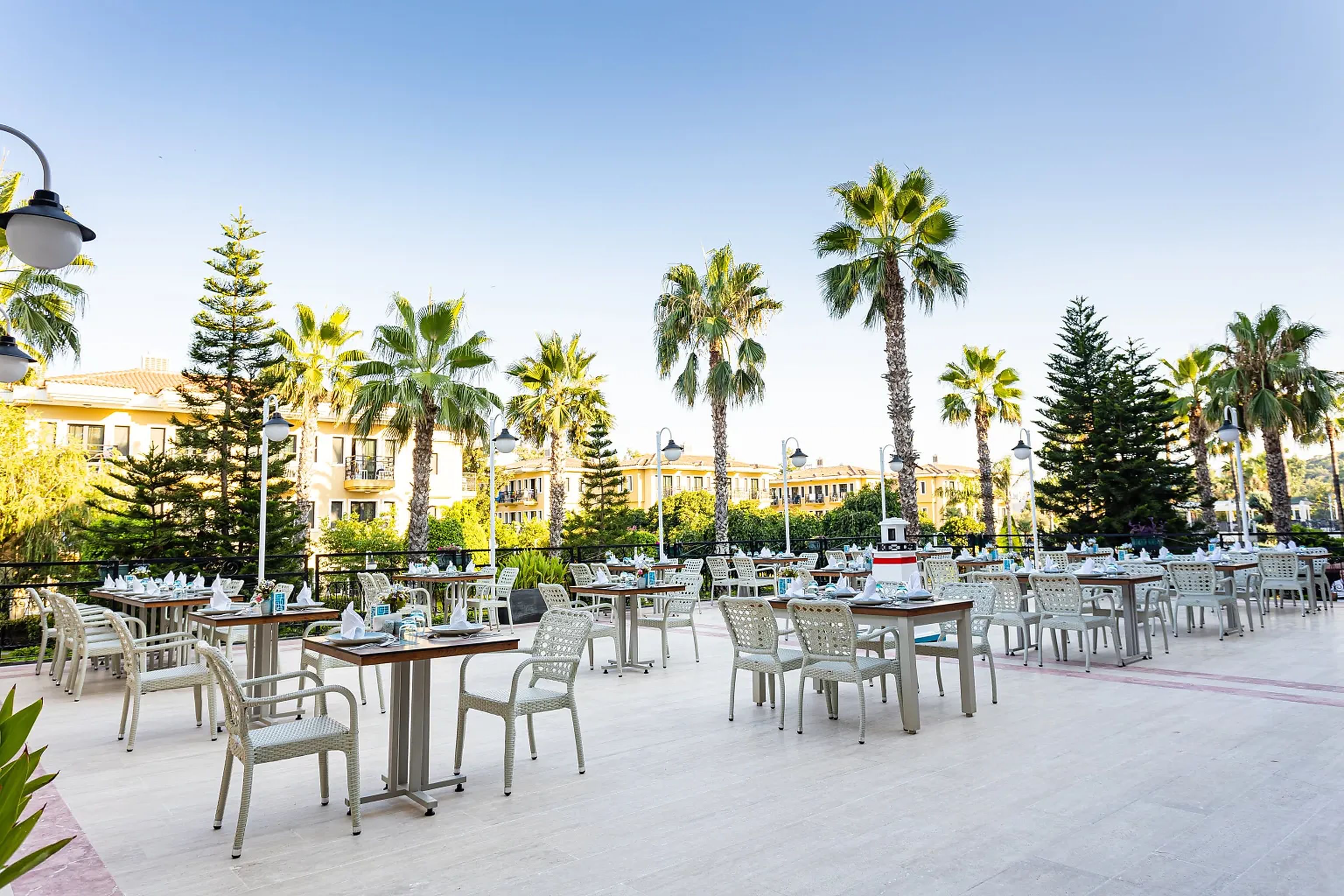 An outdoor dining area with tables and chairs, surrounded by palm trees and buildings.