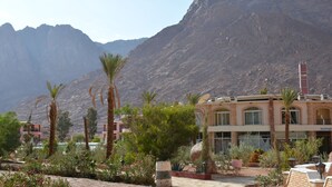 Un hôtel doté d’un hall d’accueil, de palmiers et ayant une chaîne de montagnes en toile de fond.