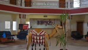 Une statue de chameau dans un hall d’entrée comprenant un comptoir de réception, un espace salon et une plante en pot.