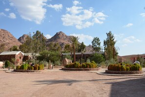 Vue depuis l’hébergement