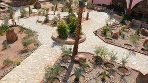 Une cour intérieure avec un palmier au centre, entourée de différentes plantes et bordée d’un chemin en pierre.