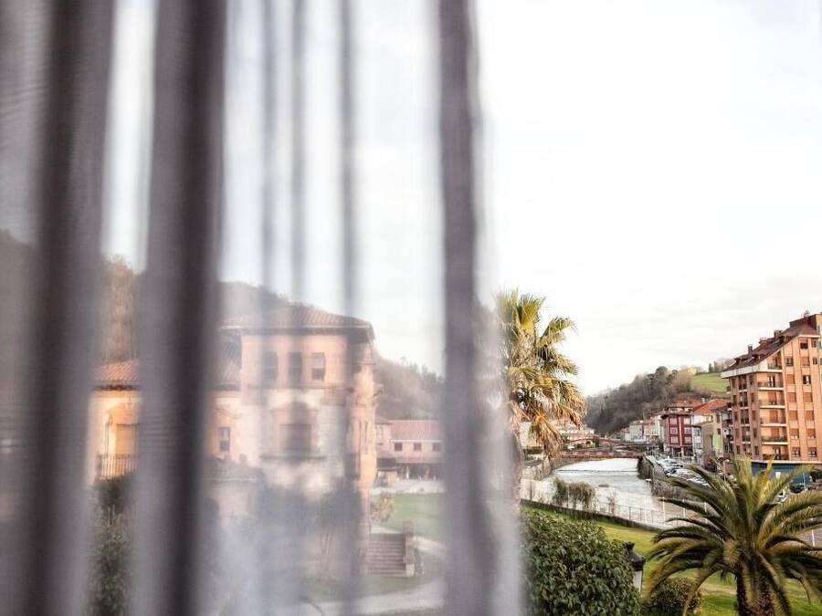 A view through a window with curtains, featuring a river, buildings, and a palm tree.