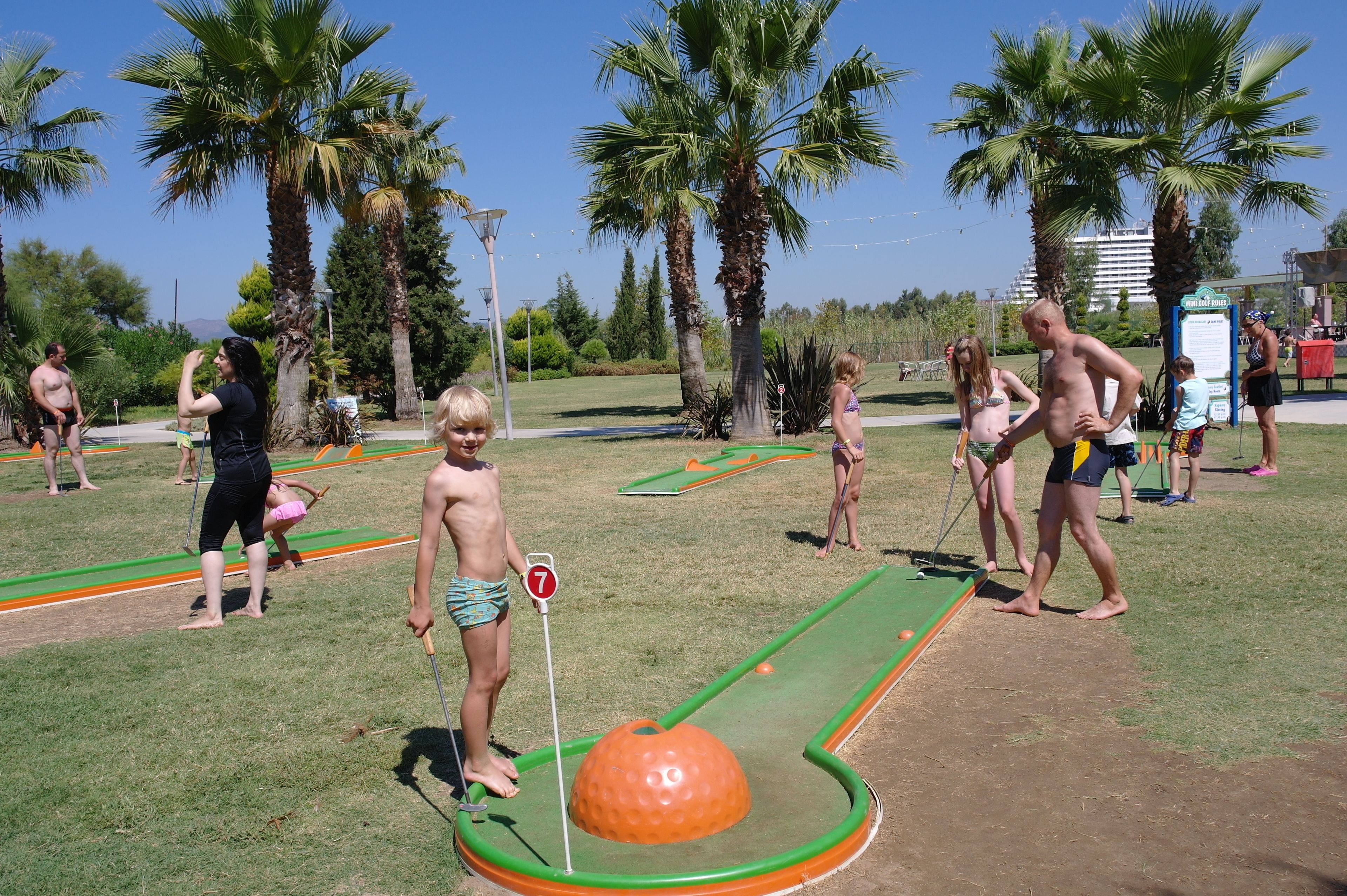Mini-golf