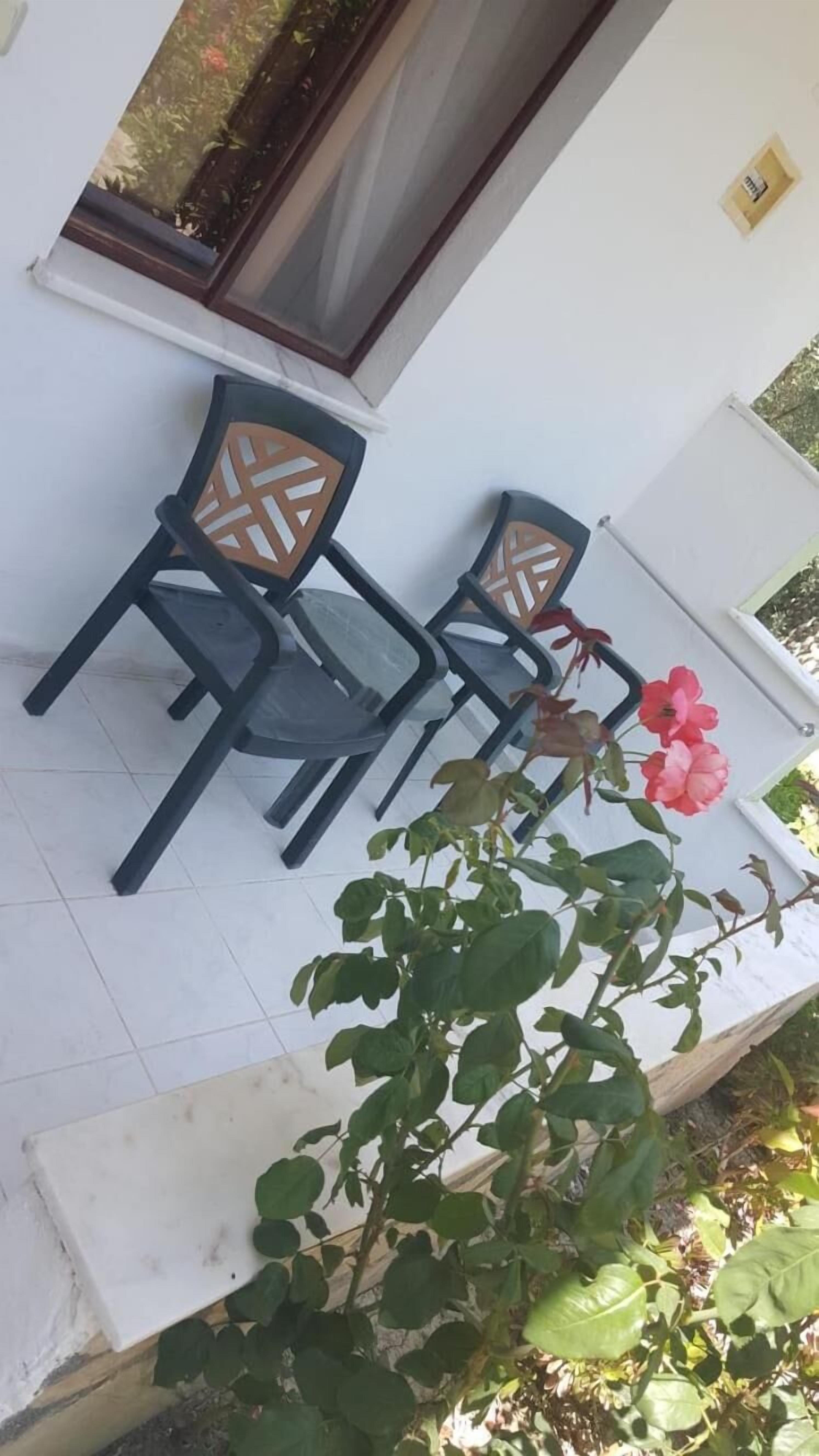 A patio with two chairs and a table, a potted plant with green leaves, and a window with a view of greenery.