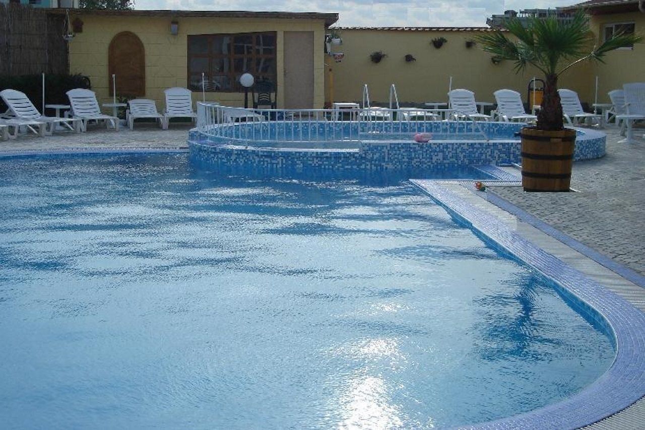 Piscina com cadeiras de descanso e uma palmeira.