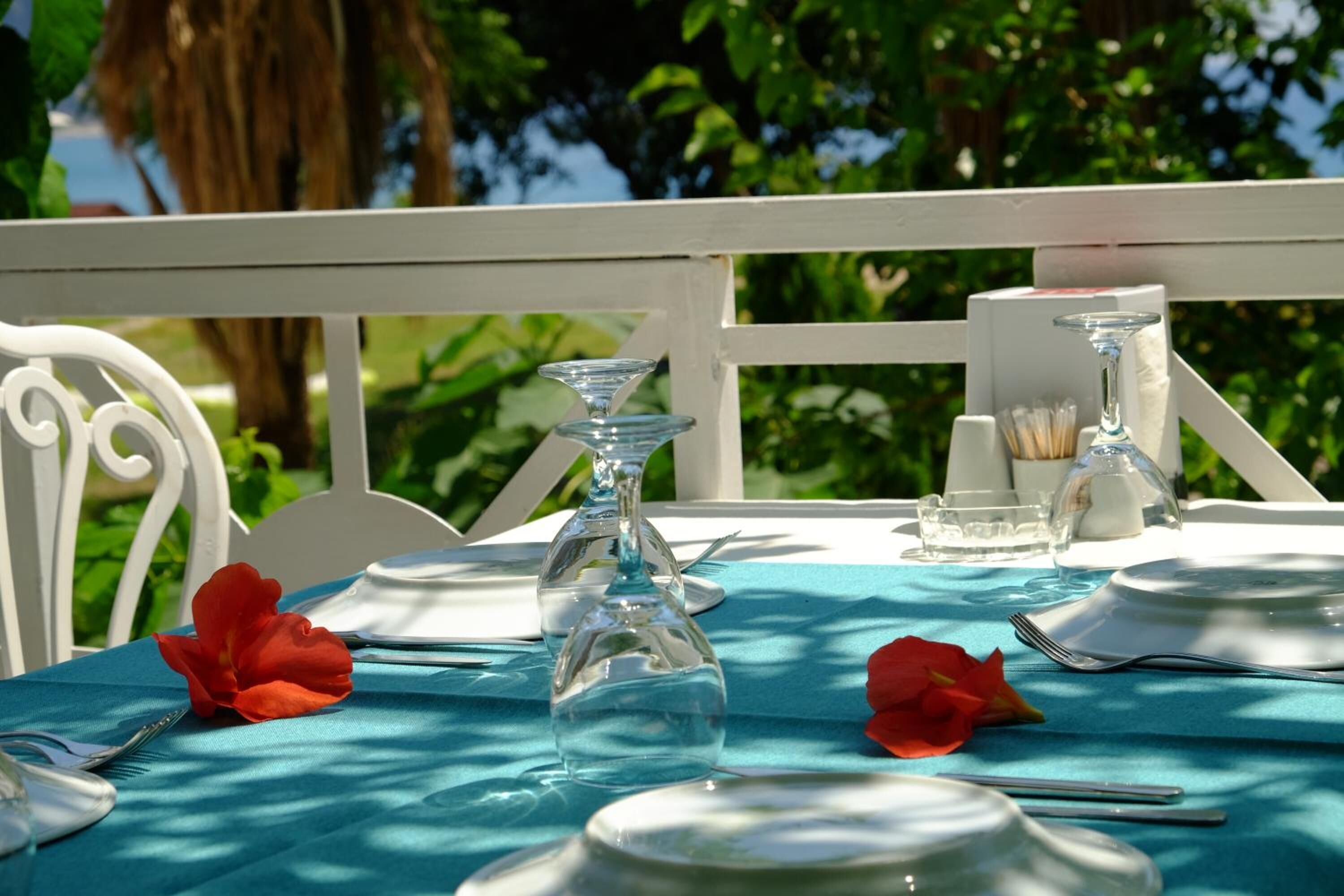 Mesa al aire libre con mantel azul, vajilla blanca y copas de vidrio transparente.