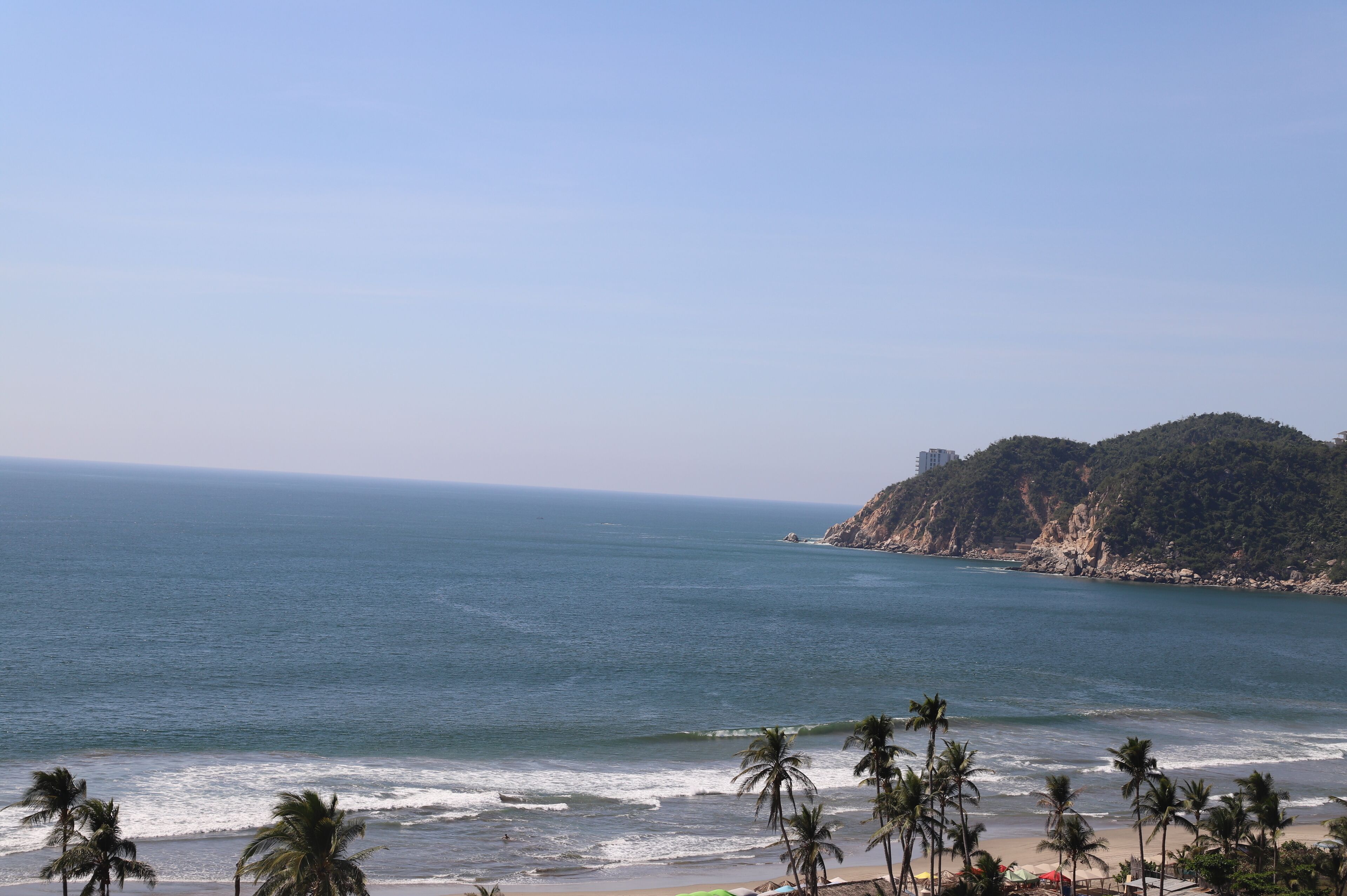 A coastal view with a beach, palm trees, and a hill with vegetation.