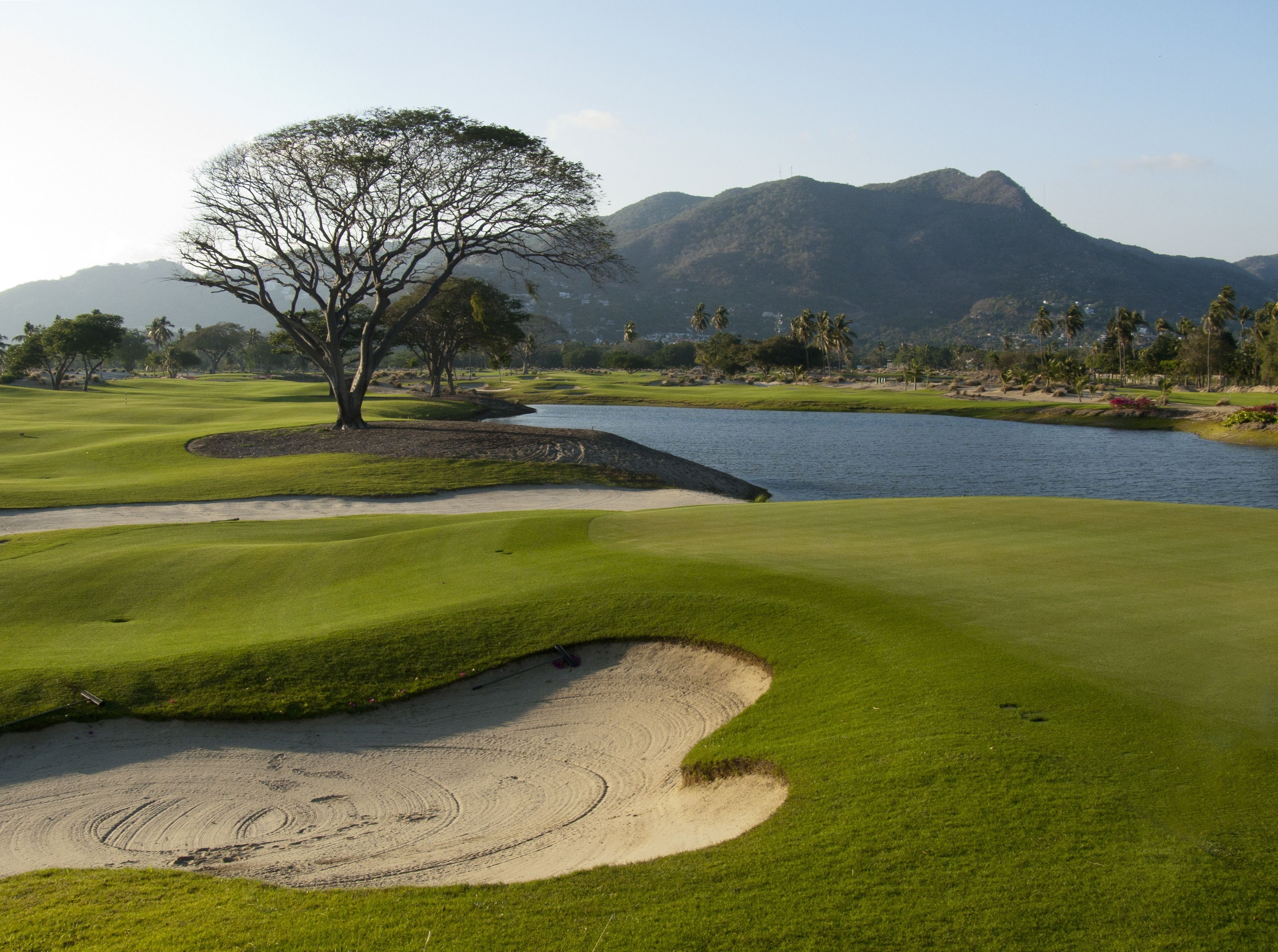 A golf course with a large tree, a water body, and mountains in the background.