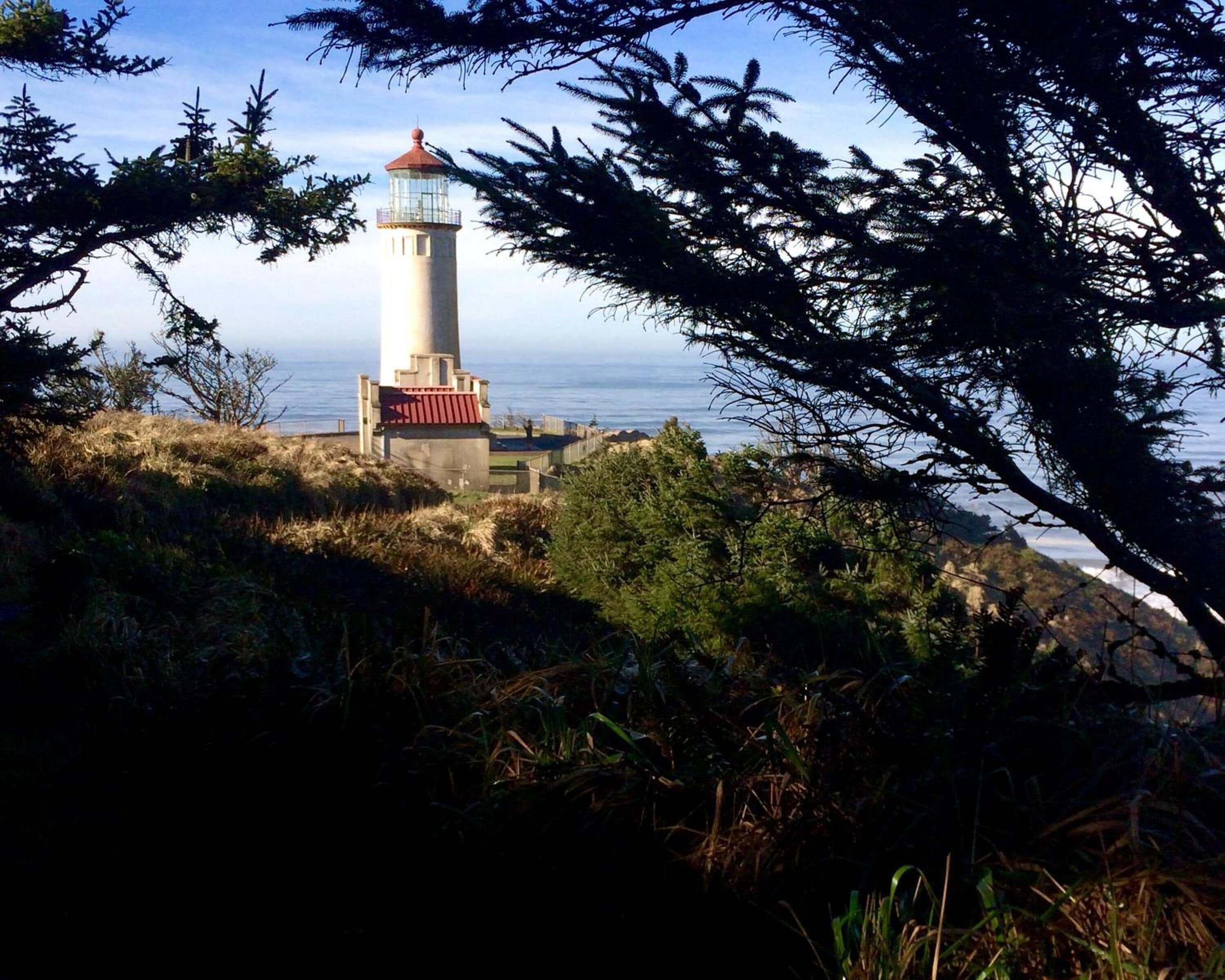 A lighthouse with a red roof, surrounded by coastal vegetation and overlooking the sea.