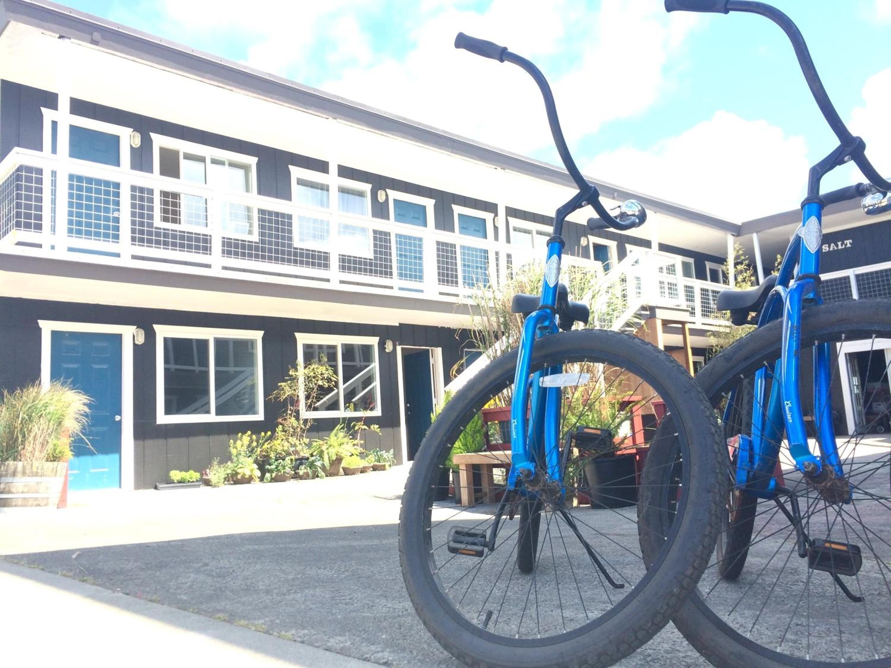Un bâtiment avec une porte et des fenêtres bleues, un vélo garé devant, et une enseigne sur laquelle on peut lire « SALT ».