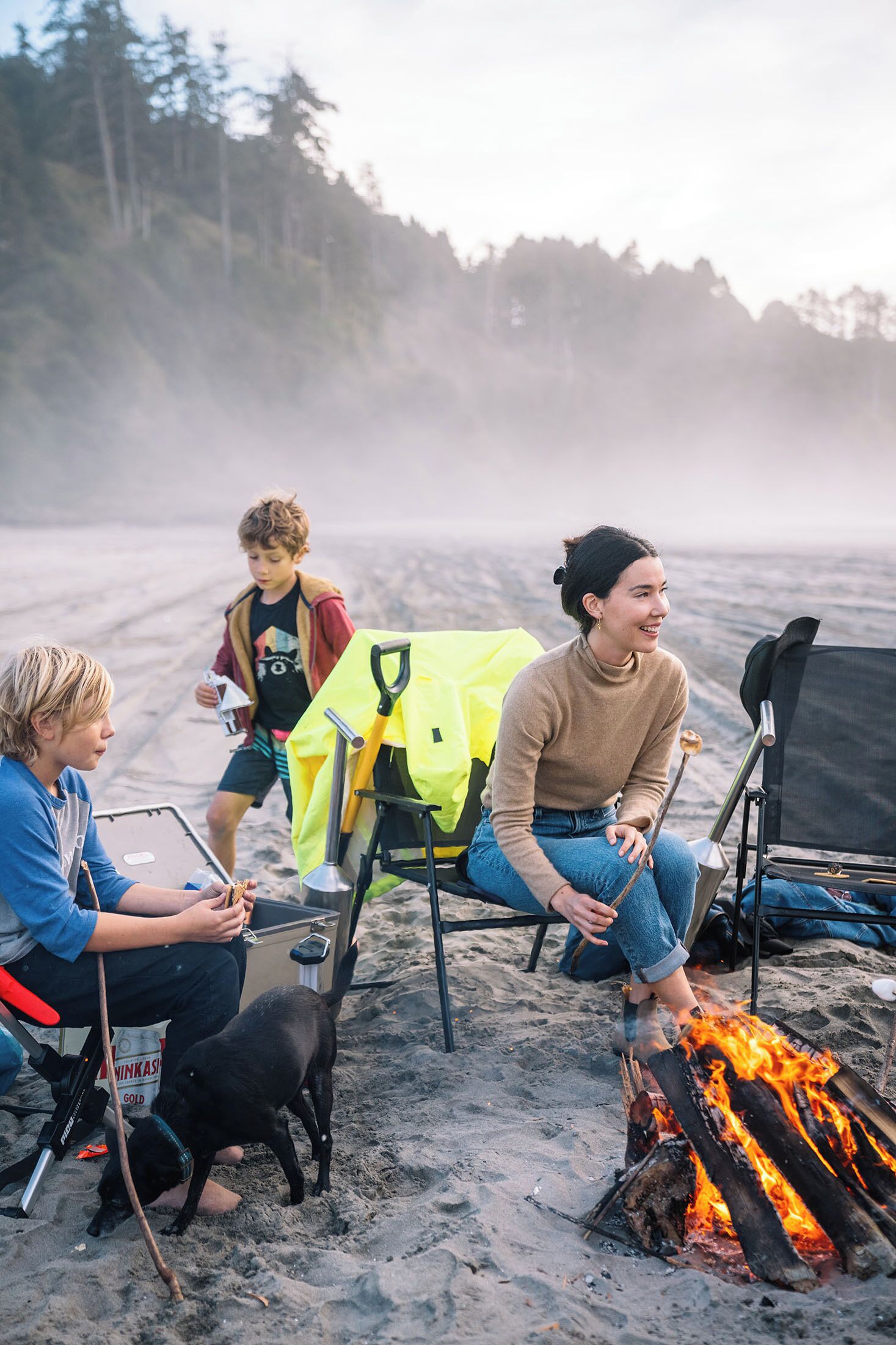 Une scène de plage avec un feu de camp, une tente et un chien.