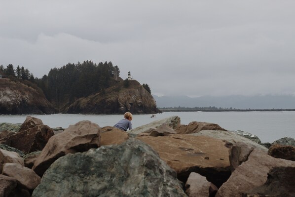 A rocky shoreline with a person overlooking a calm body of water and a forested hill in the background. - Salt Hotel & Pub (Ilwaco)