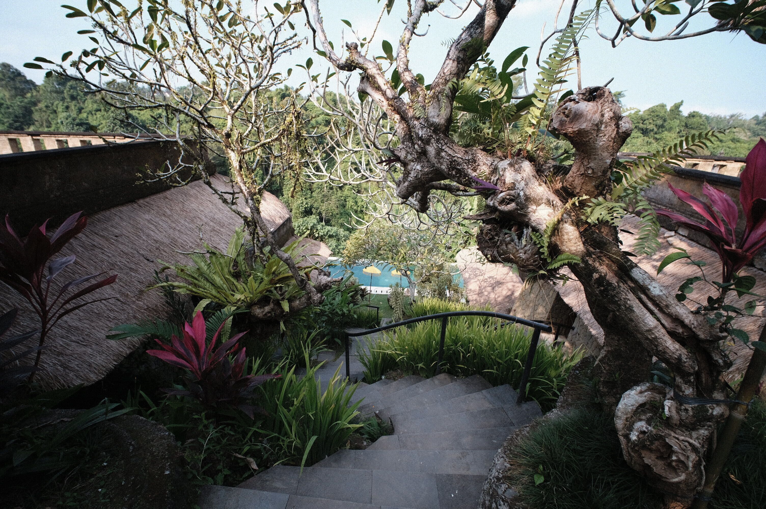 Foto - Anhera Suite Ubud