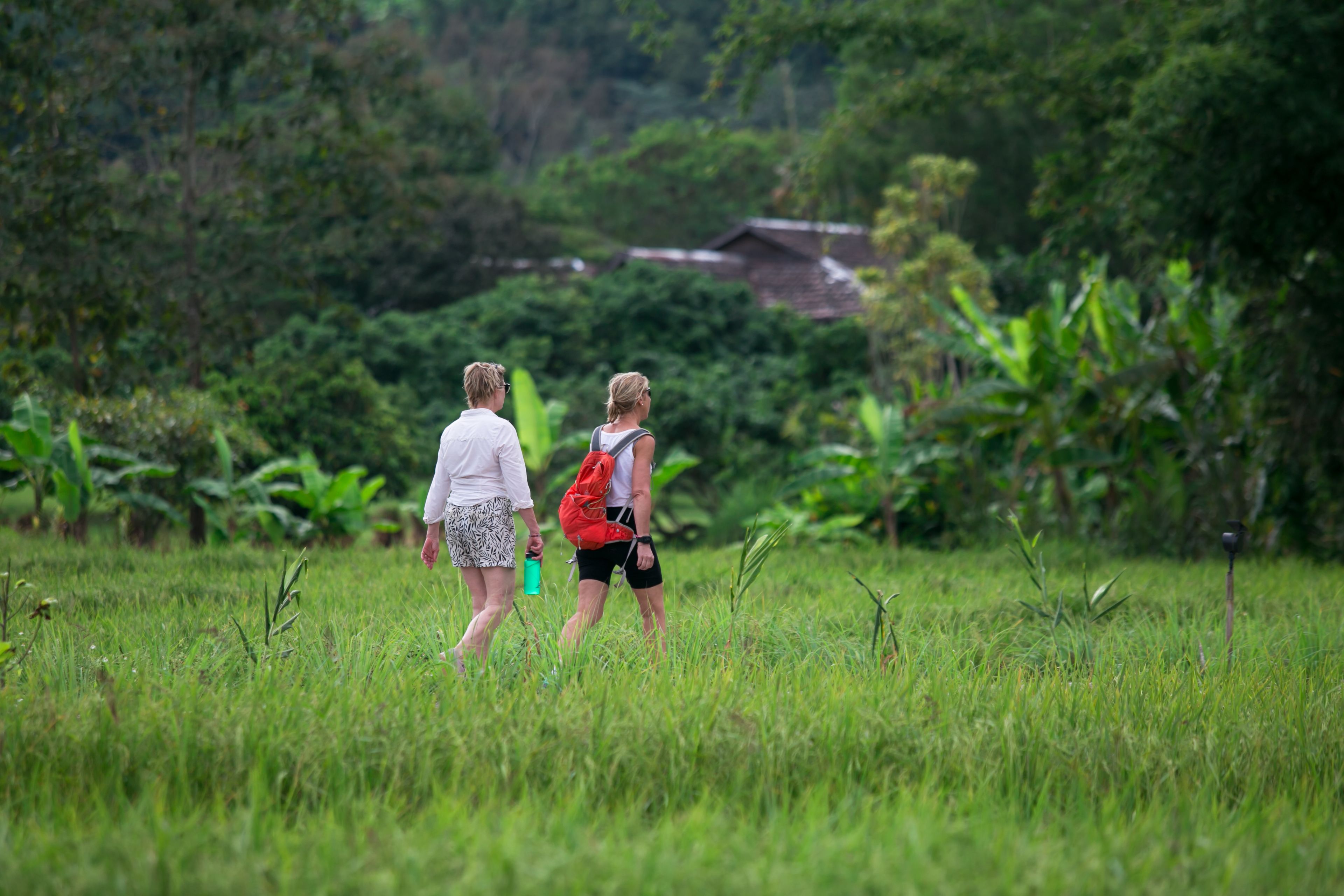 Two people walking in a grassy field with dense vegetation and a building in the background.