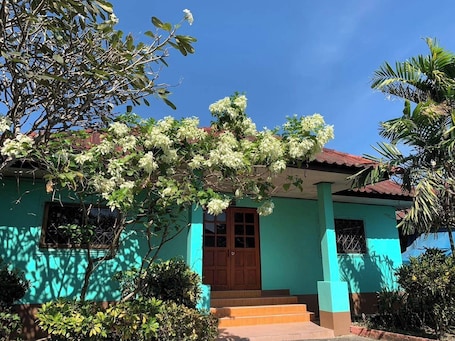 Cortinas blackout y wifi gratis