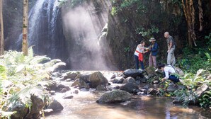 A waterfall in a forested area with people observing and taking photos.