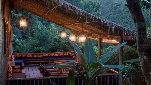 An outdoor wooden deck with seating and hanging lights, surrounded by lush greenery.