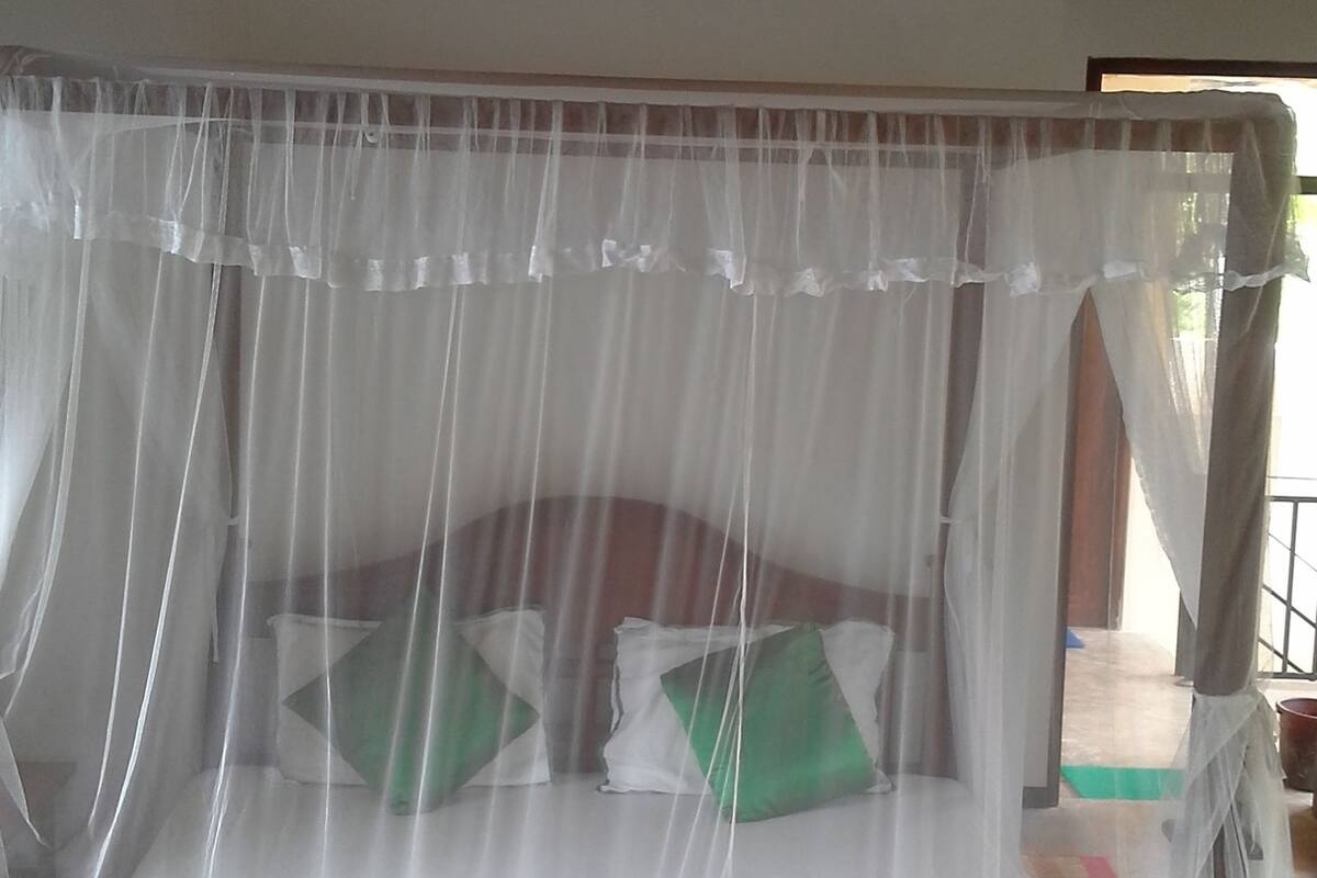 A bed with a mosquito net, pillows, and a rolled towel.