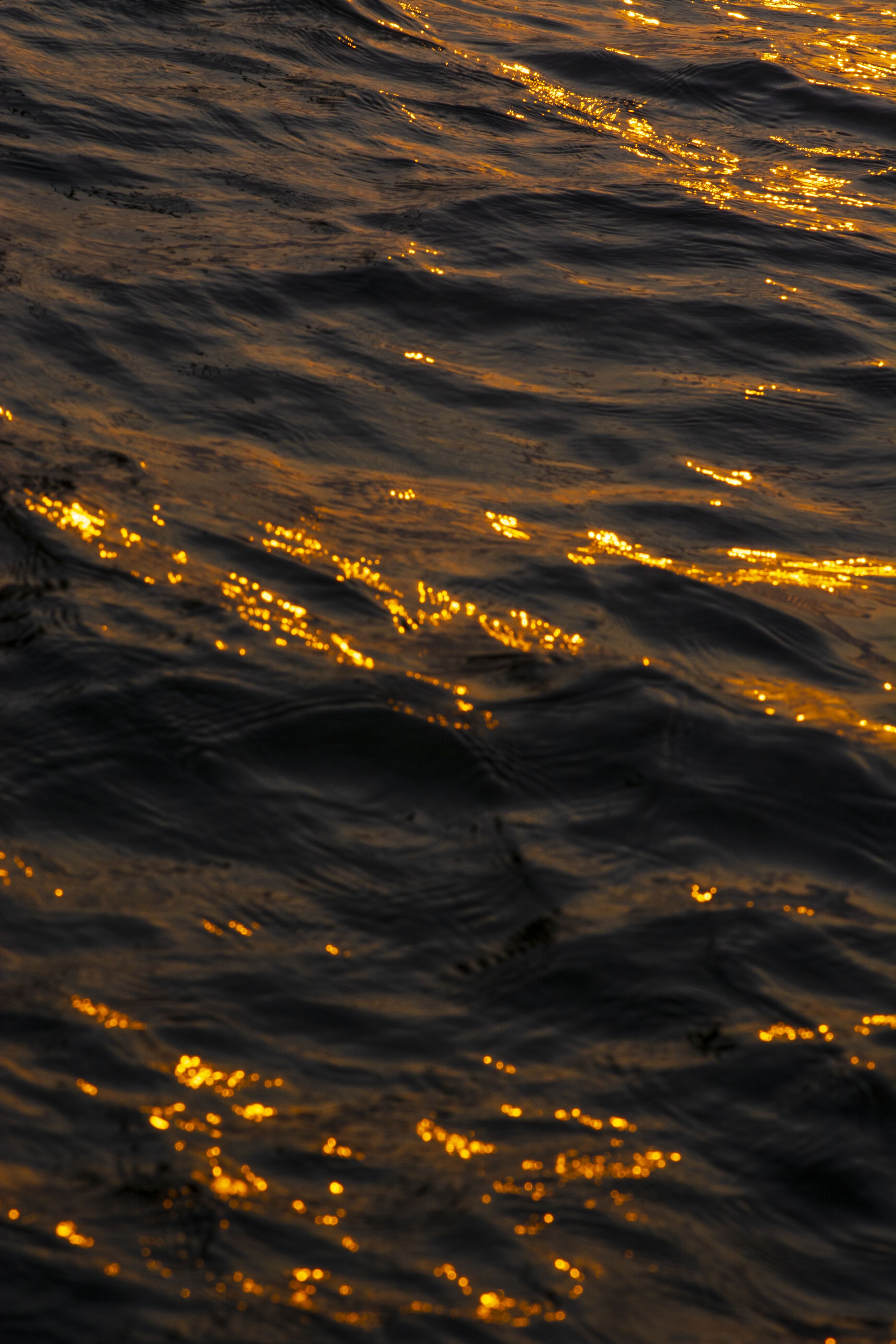 A close-up of water with reflections of lights.