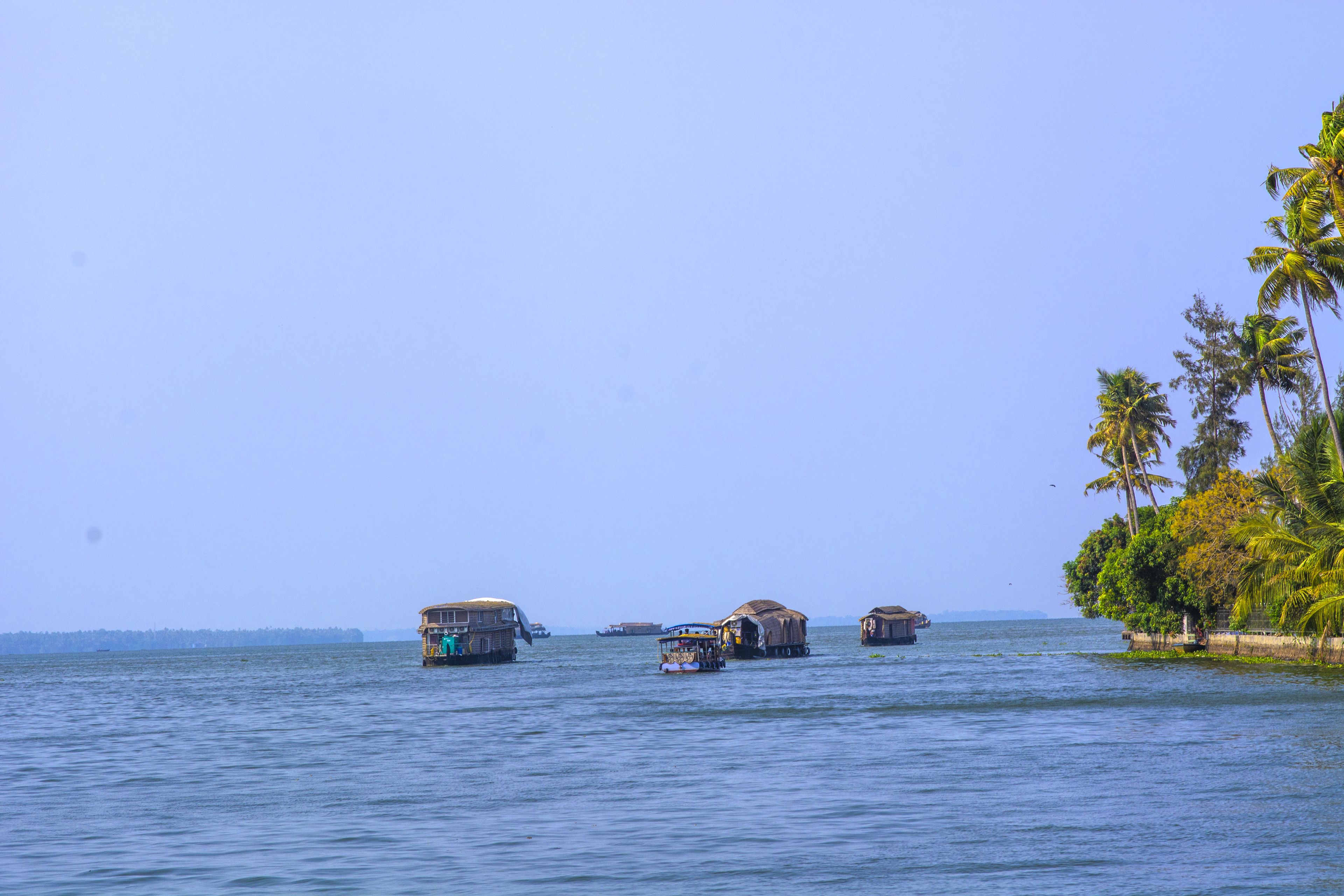 A calm water body with several traditional boats.