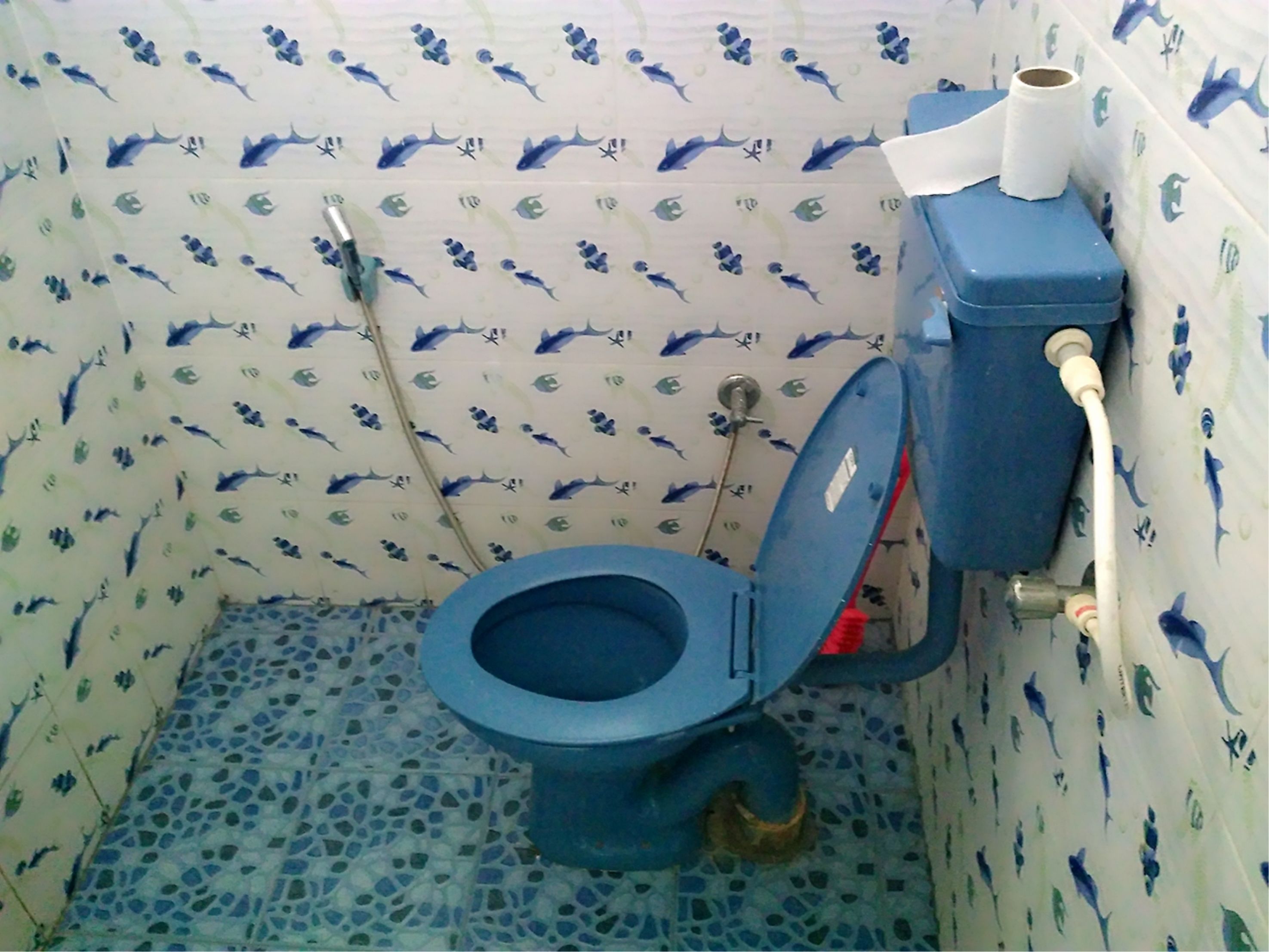A bathroom with a blue toilet, a shower, and a patterned wall.