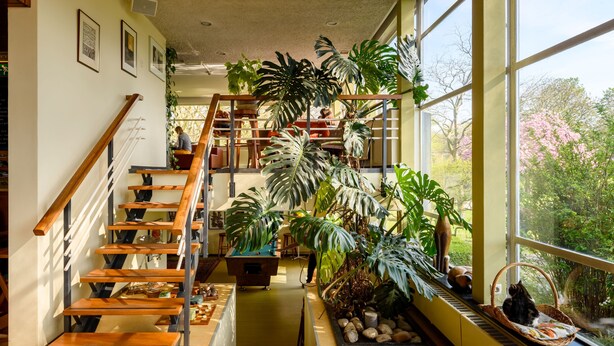 A spacious interior with a wooden staircase, large windows, and abundant indoor plants. - Pension Homeland (Amsterdam)
