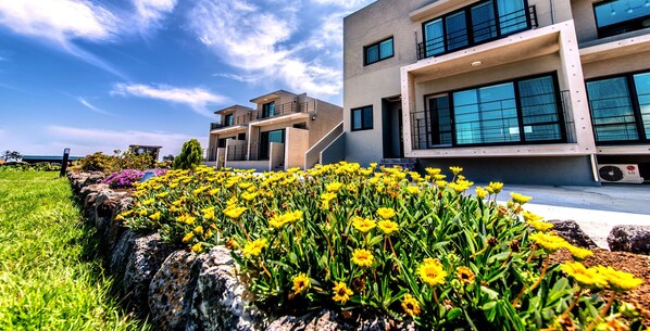 A modern building with a flat roof, large windows, and a stone pathway with yellow flowers.