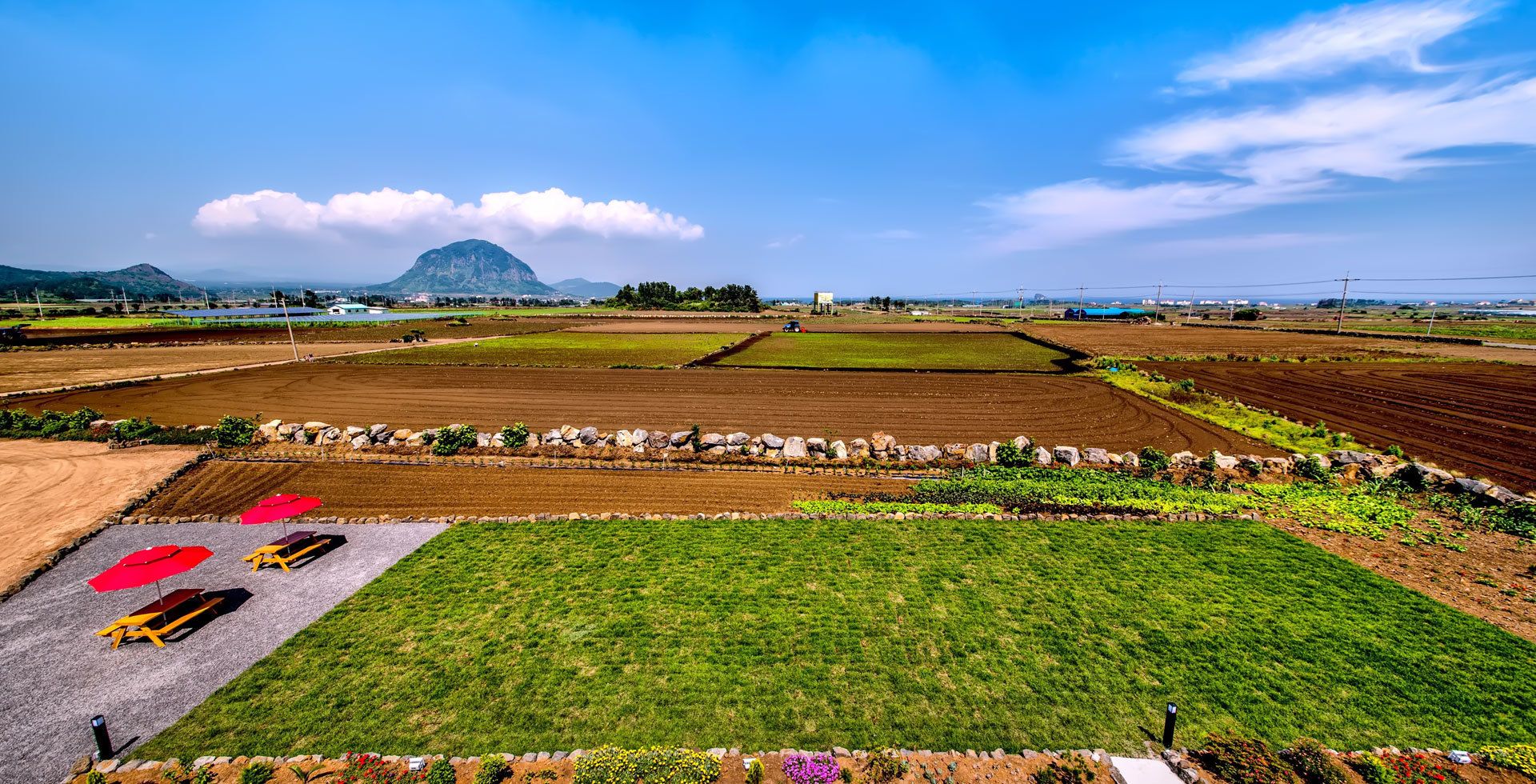 Un paysage rural avec des champs, une montagne à l’horizon et un ciel dégagé.
