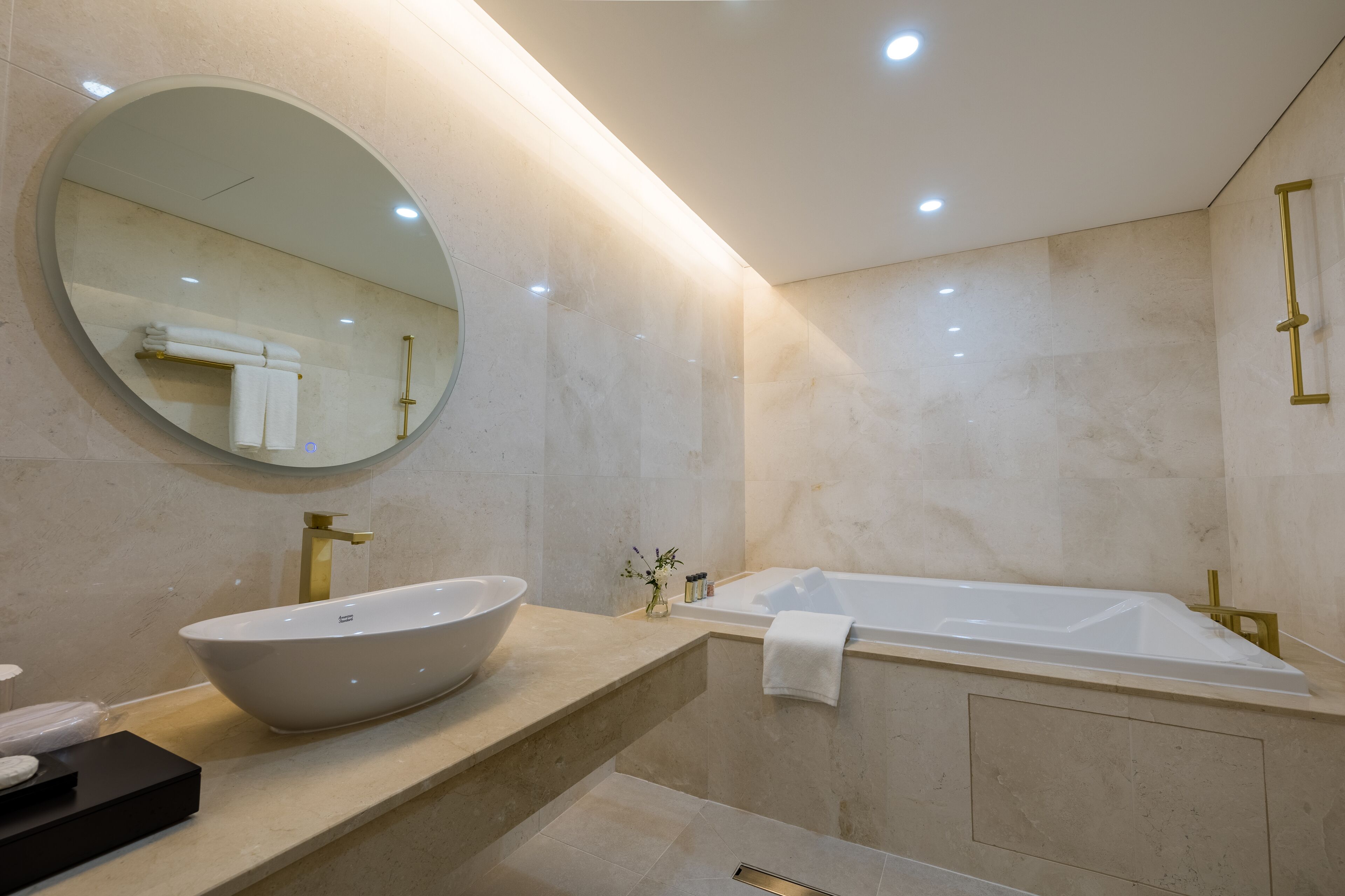 shower, hair dryer, bathrobes, bidet