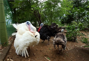 Exterior - Harvest Fresh Farms (Uthamapalayam)