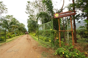 View from property - Harvest Fresh Farms (Uthamapalayam)