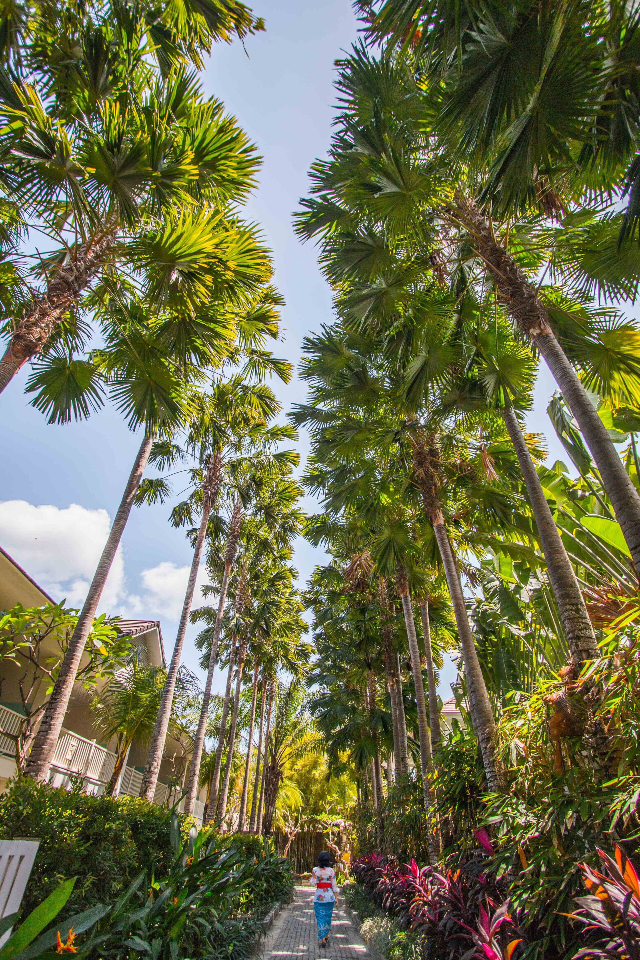 superior room | view from room