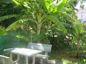 Interior - Sea Winds Resort (Phan Thiet)