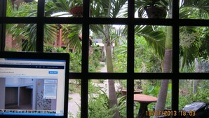 Um laptop sobre uma mesa, vista pela janela de um jardim com palmeiras e um edifício de tijolos.
