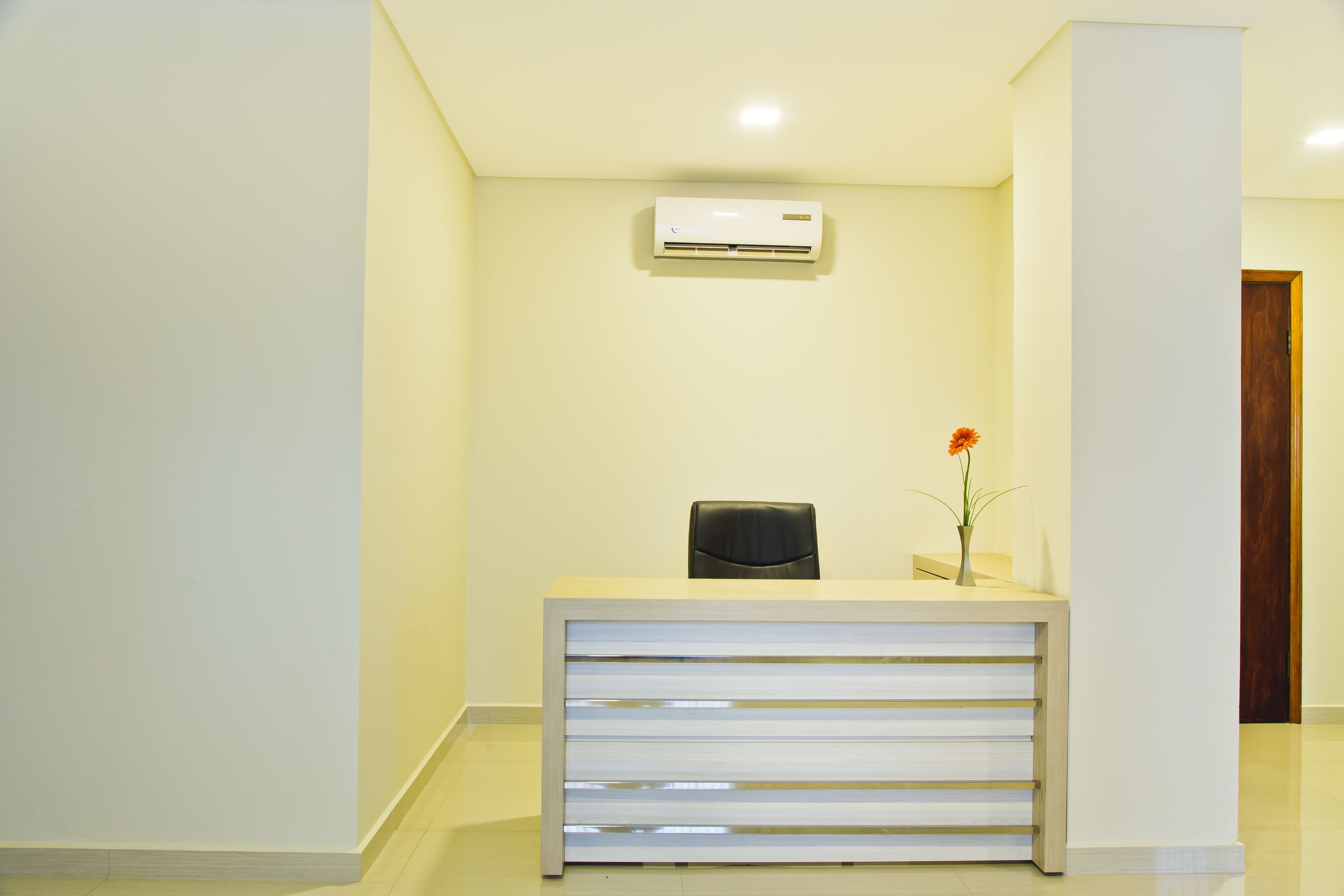 presidential suite | room amenity