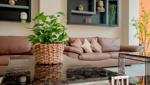 Een woonkamer met een geweven plantenpot op een glimmende salontafel, een bruine leren bank en een wandplank met decoratieve objecten.