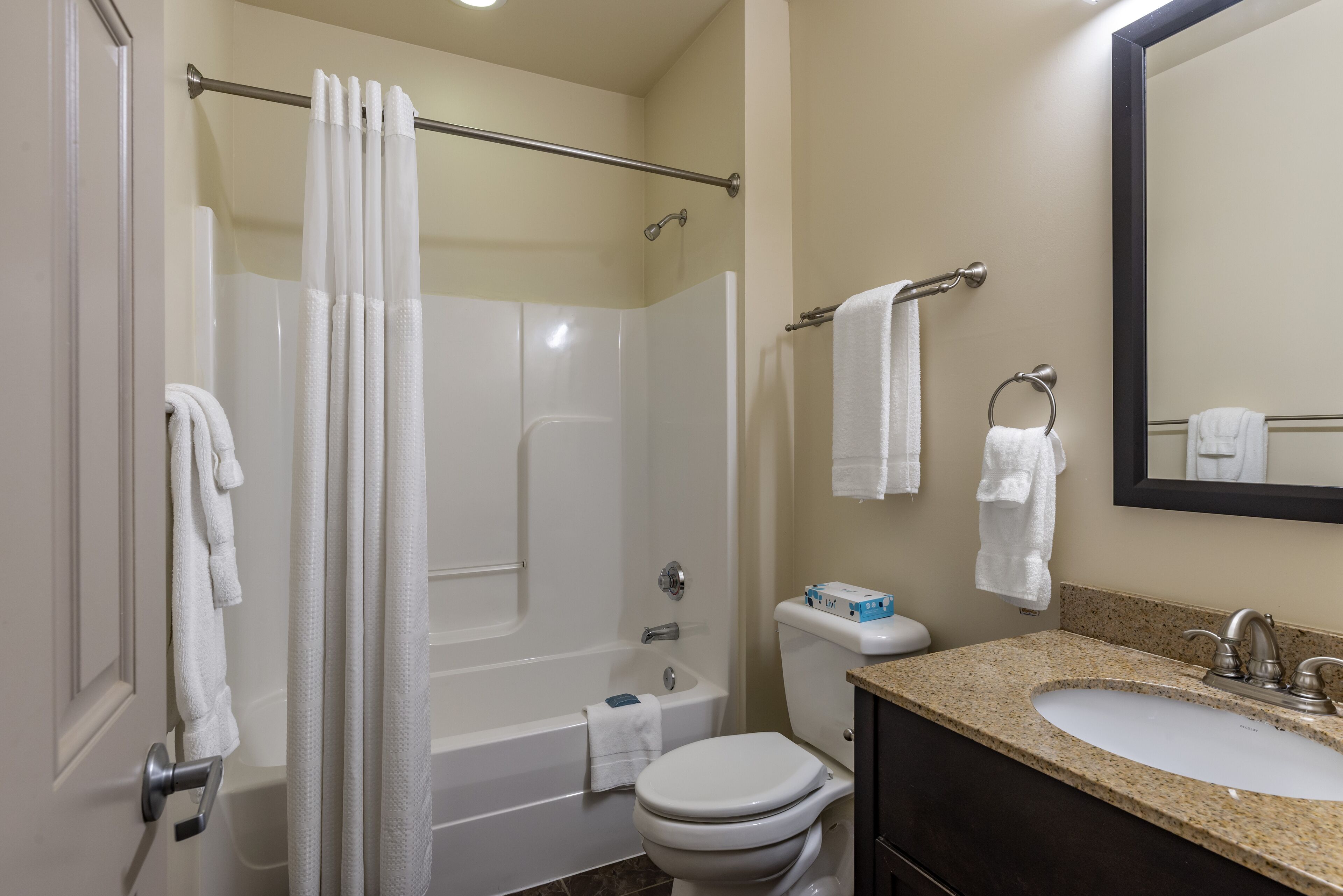 hair dryer, towels, soap, shampoo