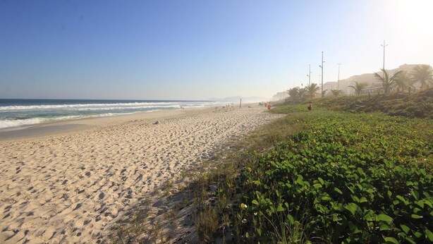 A beach with a sandy shore and greenery in the foreground. - Lucio Costa 103 (Rio de Janeiro)
