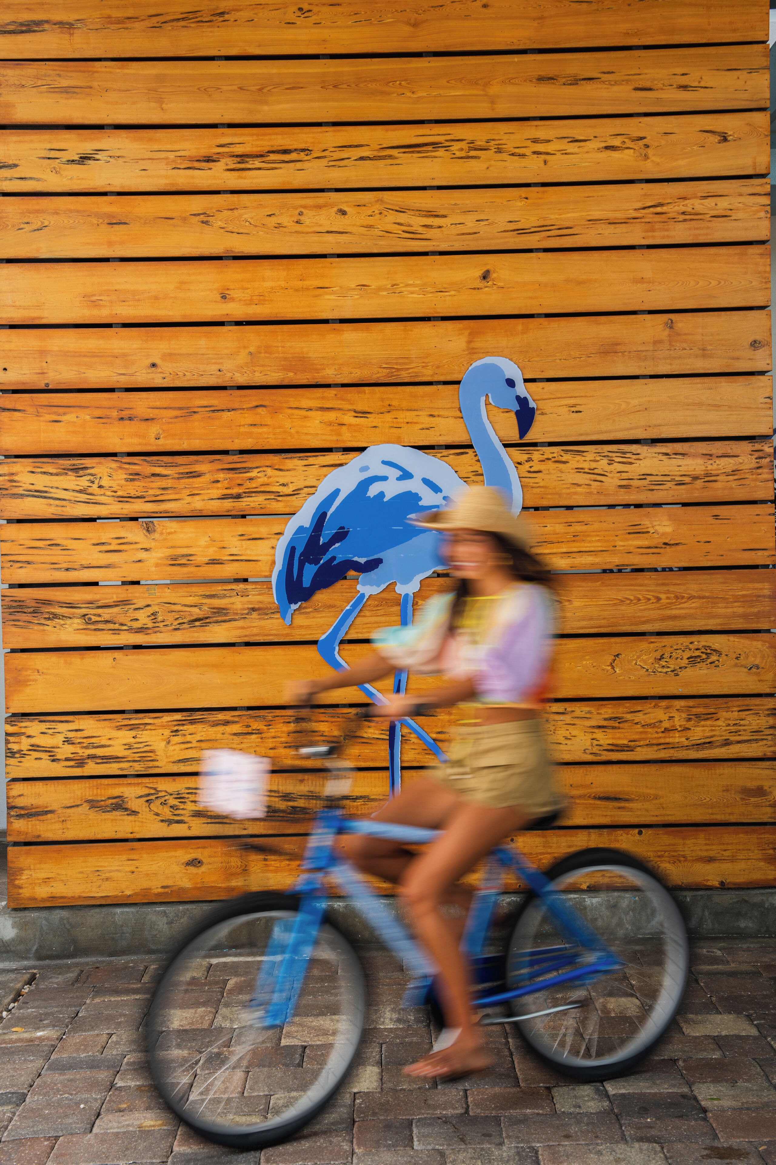 自転車
